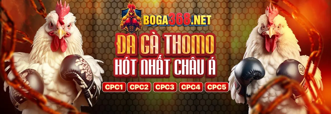 Đấu trường đá gà trực tuyến q99